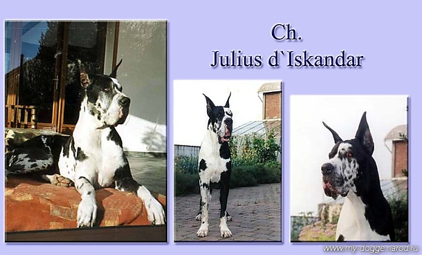Julius d'Iskandar